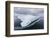 A Zodiac Amongst Huge Icebergs Calved from the Ilulissat Glacier, Ilulissat, Greenland-Michael Nolan-Framed Photographic Print