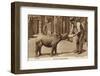 A Zookeeper Feeding a Young Rhinoceros-null-Framed Photographic Print