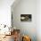 A Zuni Shalako Pottery Bowl, a San Ildefonso Circular Back Pottery Dish-null-Giclee Print displayed on a wall