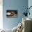 A Zuni Shalako Pottery Bowl, a San Ildefonso Circular Back Pottery Dish-null-Mounted Giclee Print displayed on a wall