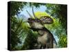 A Zuniceratops Wanders a Cretaceous Forest-Stocktrek Images-Stretched Canvas