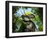 A Zuniceratops Wanders a Cretaceous Forest-Stocktrek Images-Framed Photographic Print