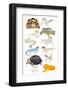 A1 Reptiles in Glasses-Hanna Melin-Framed Photographic Print