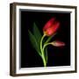 Aah! That First Caress-Magda Indigo-Framed Photographic Print