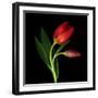 Aah! That First Caress-Magda Indigo-Framed Photographic Print