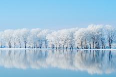 Autumn Landscape in the Mountains - St. Ana's Lake, Romania-aaltair-Photographic Print