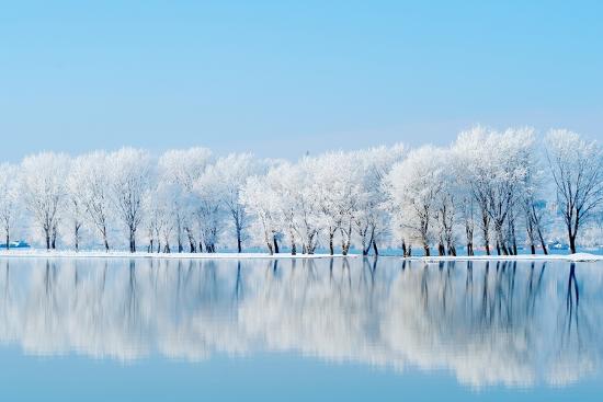 Premium Photographic Print, , large