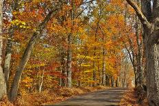 Fall Scenic Byway in Bucks County, Pennsylvania-AardLumens-Framed Photographic Print