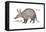 Aardvark or Antbear (Orycteropus Afer), Mammals-Encyclopaedia Britannica-Framed Stretched Canvas