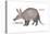 Aardvark or Antbear (Orycteropus Afer), Mammals-Encyclopaedia Britannica-Stretched Canvas