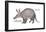 Aardvark or Antbear (Orycteropus Afer), Mammals-Encyclopaedia Britannica-Framed Poster