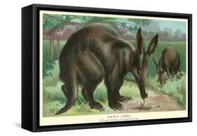 Aardvarks-null-Framed Stretched Canvas