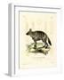 Aardwolf-null-Framed Giclee Print