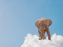 Elephant On Cloud In Sky, Outdoor-Aaron Amat-Photographic Print