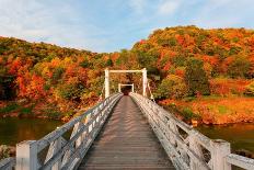 Perspective View from an Old Bridge Bathed in Sunlight on a Sunny Autumn Day, with Beautiful Fall C-Aaron Chen PS2-Photographic Print