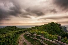 Cape Kamui in Shakotan-Aaron Choi Photo-Photographic Print