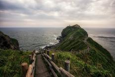 Cape Kamui in Shakotan-Aaron Choi Photo-Photographic Print