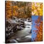 Stretched Canvas