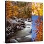 Stretched Canvas