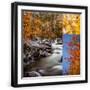Black Frame