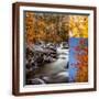 Brown Frame