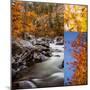 Wood Mount