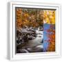 White Frame