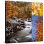 Stretched Canvas