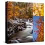 Stretched Canvas