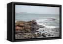 Canvas Black