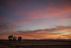 Desert Sunset-Aaron Matheson-Stretched Canvas