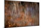 Wood Mount