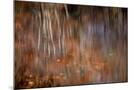 Wood Mount