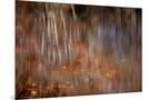 Wood Mount