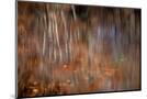 Wood Mount