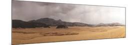 Wood Mount