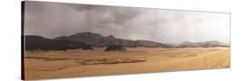 Stretched Canvas