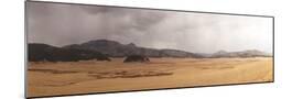 Wood Mount