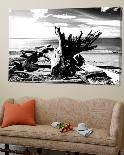 Ocean View-Aaron Matheson-Photographic Print