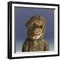 Aaron Monkey, 2016,-Peter Jones-Framed Giclee Print