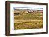 Aaron Price Riding His Horse 'Beau' over His Ranch, Gracie Creek, Sandhills, Nebraska-Cheryl-Samantha Owen-Framed Photographic Print