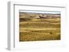 Aaron Price Riding His Horse 'Beau' over His Ranch, Gracie Creek, Sandhills, Nebraska-Cheryl-Samantha Owen-Framed Photographic Print