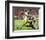 Aaron Rodgers 2010 Playoff Action-null-Framed Photographic Print
