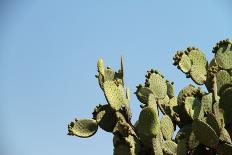 Amazing Stone Structures Made by Wind in Uyuni Desert.-AarStudio-Photographic Print