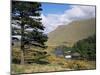 Aasleagh Falls, County Mayo, Connacht, Eire (Republic of Ireland)-Roy Rainford-Mounted Photographic Print