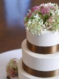 Wedding Cake Closeup-aastock-Photographic Print