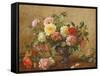 AB/110/2 All Beauty in a Summer Rose-Albert Williams-Framed Stretched Canvas