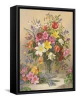 Ab/295 Mid Spring Glory-Albert Williams-Framed Stretched Canvas