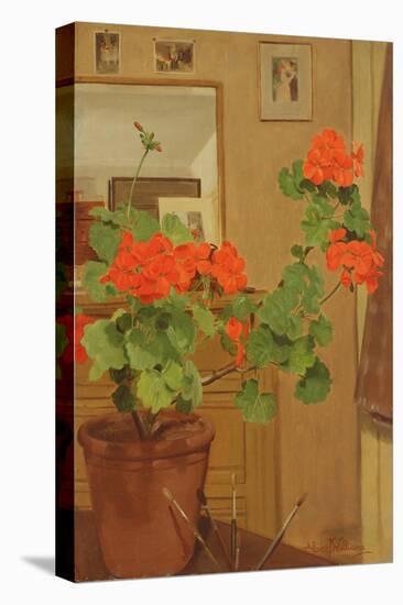 Ab/319 Geraniums in a Studio Corner, 1948-49-Albert Williams-Stretched Canvas