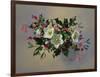 Ab/89 Christmas Roses-Albert Williams-Framed Giclee Print